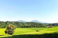 Cascina Pianezzo in vendita a Cantello VA
