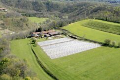 VENDITA AZIENDA AGRICOLA PRODUZIONE ASPARAGO BIANCO IGP CANTELLO (VA)