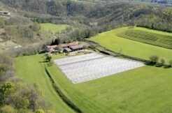 VENDITA AZIENDA AGRICOLA PRODUZIONE ASPARAGO BIANCO IGP CANTELLO (VA)